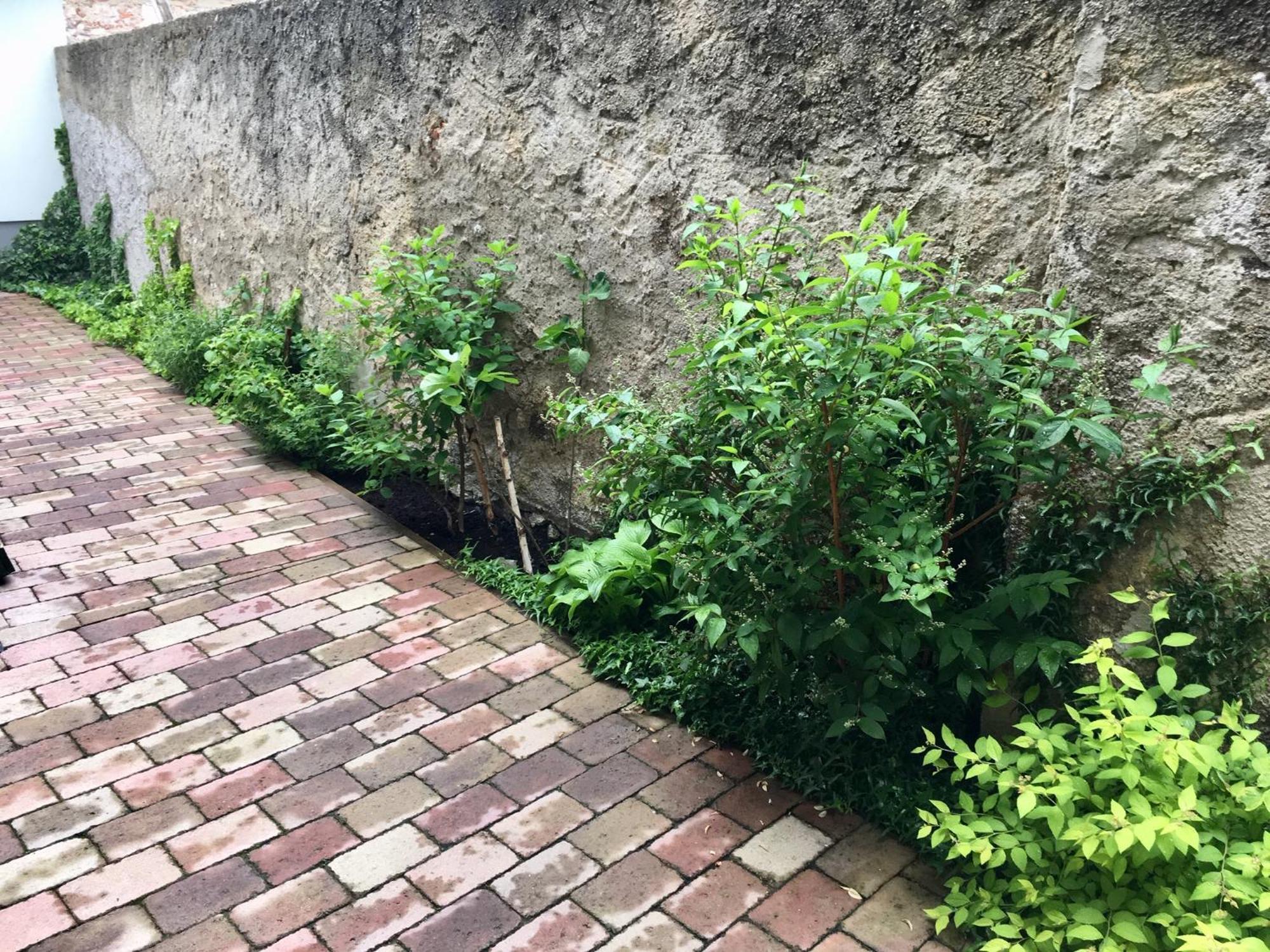 Apartmany U Vavrince Sušice エクステリア 写真