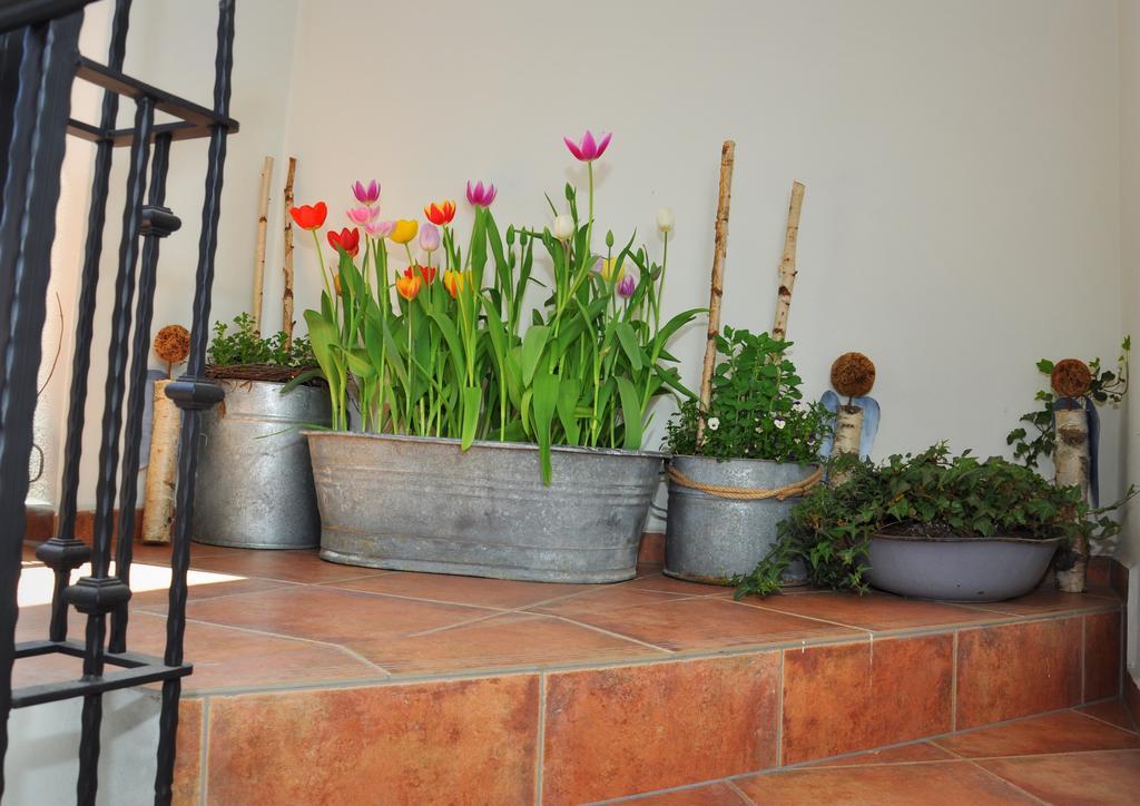 Apartmany U Vavrince Sušice エクステリア 写真