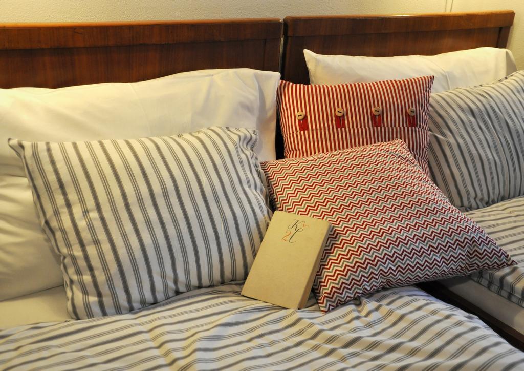 Apartmany U Vavrince Sušice エクステリア 写真